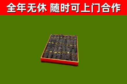 巴音郭楞烟酒回收海参.jpg